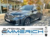 BMW X5 30 d xDrive M Sportpaket AHK Sky Lounge Stand