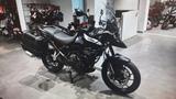 Triumph Tiger 900 GT Pro - TRIUMPH TIGER 900 GT PRO