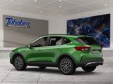 Ford Kuga Panorama + Head-Up-Display - Ford Kuga New cars