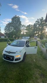 Fiat Panda - weiße Fiat New Panda