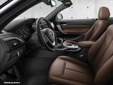 BMW 220i Luxury Line ""Leder Klima PDC 17"LM" - BMW: Cabrio