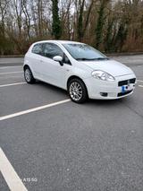 Fiat FIAT PUNTO. 1.4.BEZIN.JAR 2009..OHNE.TÜV - Fiat Punto aus 2009: 1.4