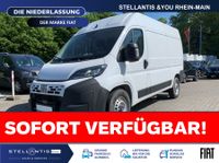 Fiat Ducato - Vorschau Bild 1