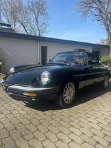 Alfa Romeo Spider 1.6 | vollrestauriert 2021 | Top Zustand