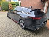 Kia ProCeed GT - 2 Jahre Neuwagengarantie - Kia Gebrauchtwagen in Braunschweig