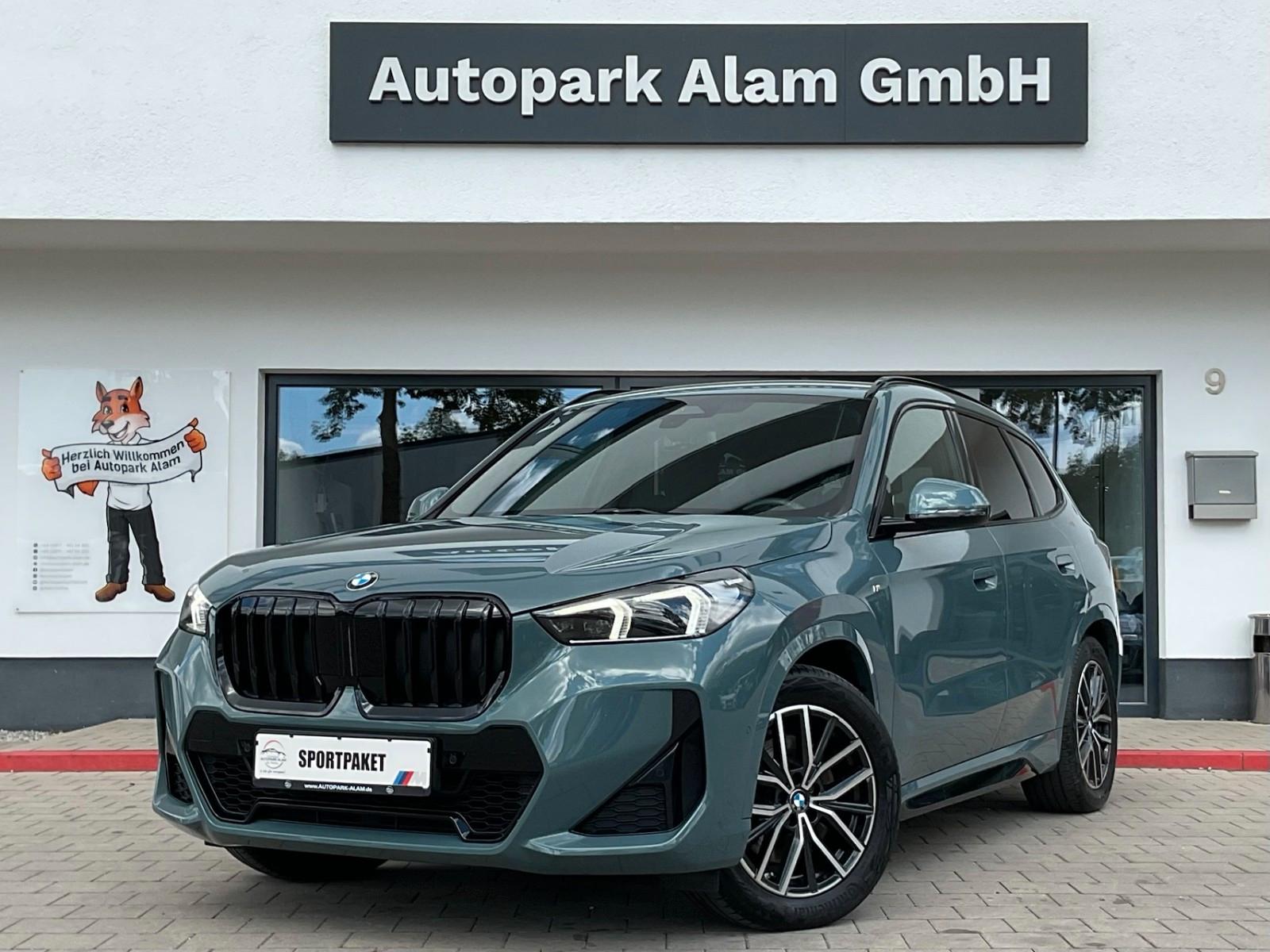 BMW X1 23d xDrive M Sport ACC AHK Keyless RFK ViCo