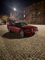 Ford Mustang 4.6 V8 GT Schalter Tüv 12/26 - Ford Mustang in Nürnberg