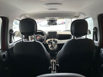 Bild 22 Fiat Panda Pandina Cross