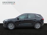 Ford Kuga Titanium FHEV +ACC+BLIS - Ford mit Benzin-Antrieb: Geländewagen, Automatik