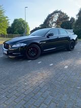 Jaguar XJ Premium Luxury 3.0 V6 Diesel S Premium Luxury - Jaguar XJ: Limousine