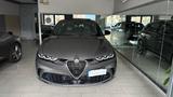 Andere Alfa Romeo Tonale 1.6 diesel 130 TETTO STRAFULL - Andere mit Diesel-Antrieb: Grau, Panorama-Dach