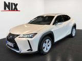 Lexus UX 250 h Style Edition KAMERA SHZ LED - Lexus UX aus 2023