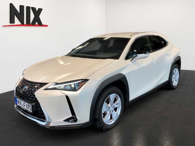 Lexus UX 250 h Style Edition KAMERA SHZ LED