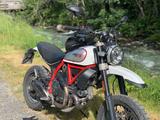 Ducati Scrambler Desert Sled - DUCATI SCRAMBLER DESERT SLED