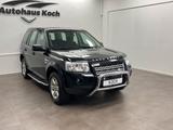 Land Rover FREELANDER  2 TD4 NEUWERTIG MIT MARKANTER OPTIK! - Land Rover Freelander: 2.2