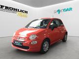Fiat 500 Cult - Fiat 500 Cult mit Benzin-Antrieb