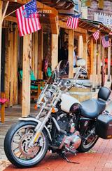 Harley-Davidson Sportster 1200 XL Superlow - CHOPPER KARDAN