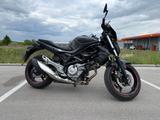 Suzuki Gladius SFV 650 - SUZUKI GLADIUS SFV 650