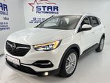 Opel Grandland X*2,0-130KW*NAVI*TEMP*AHK*CarPlay*E6dT - Opel in Köln