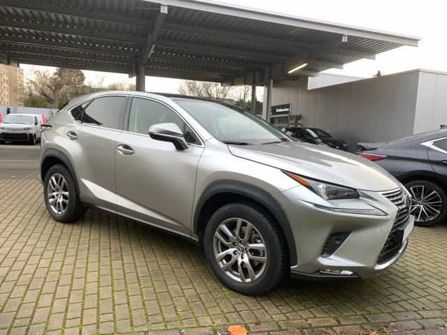 Lexus NX 300h E-FOUR Executive Line Navi, Panoramadach