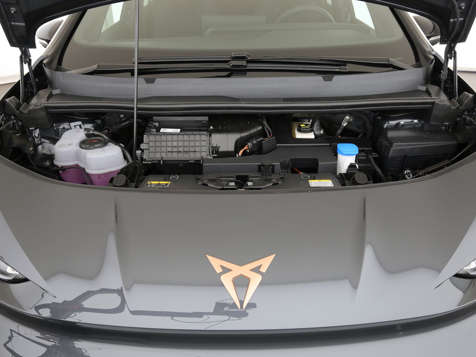 Cupra Born - Bild 28