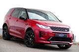 Land Rover Discovery Sport R-Dynamic AWD PANO FAHR-ASSISTEN - Land Rover Discovery Sport: Dynamic