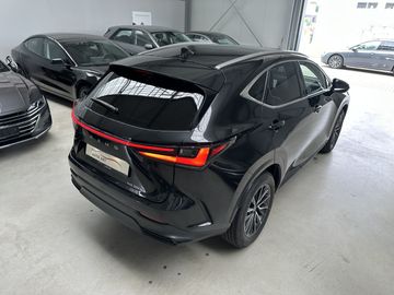 Lexus NX 350h - 8