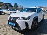 Lexus UX 250 H*Automatik-Leder*1Hand*Garantie* - Lexus mit Hybrid-Antrieb: Limousine