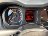 Fiat Panda 1.2 Benzin | 69 PS | 56.000 km ... - Fiat Panda: Km 0