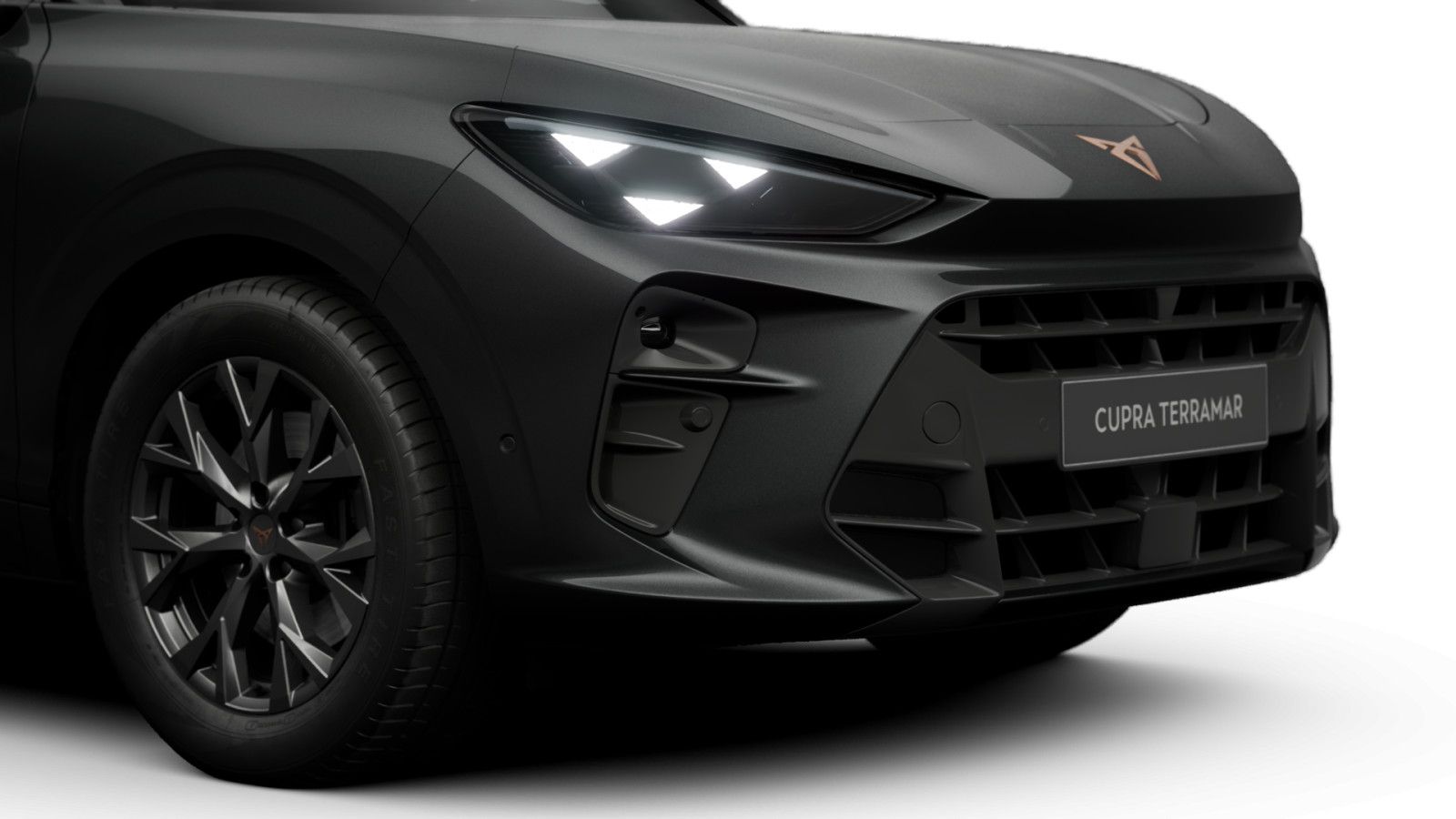 Cupra Terramar - Bild 8