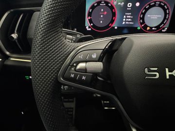 Skoda Kodiaq 2.0 TDI 4x4 Sportline Pano AHK 7-Sitze