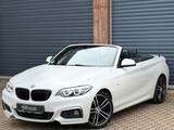 BMW 230i Cabrio M Sport DSG/Navi/CAM/H&K/LED/Leder/ - BMW 230 mit Benzin-Antrieb