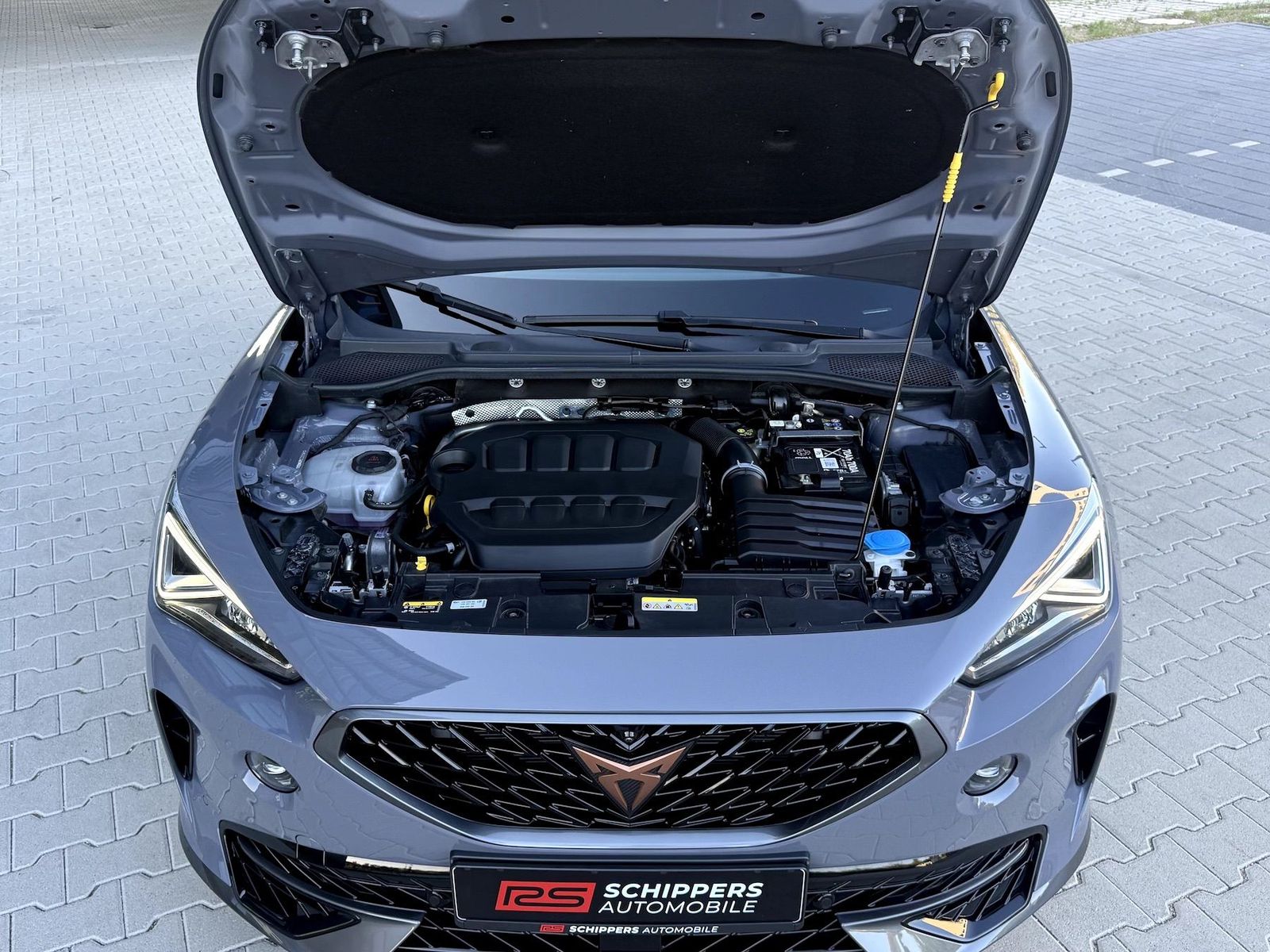 Fahrzeugabbildung CUPRA Formentor VZ 2.0 TSI DSG 4Drive 360°|PANO|KW V3