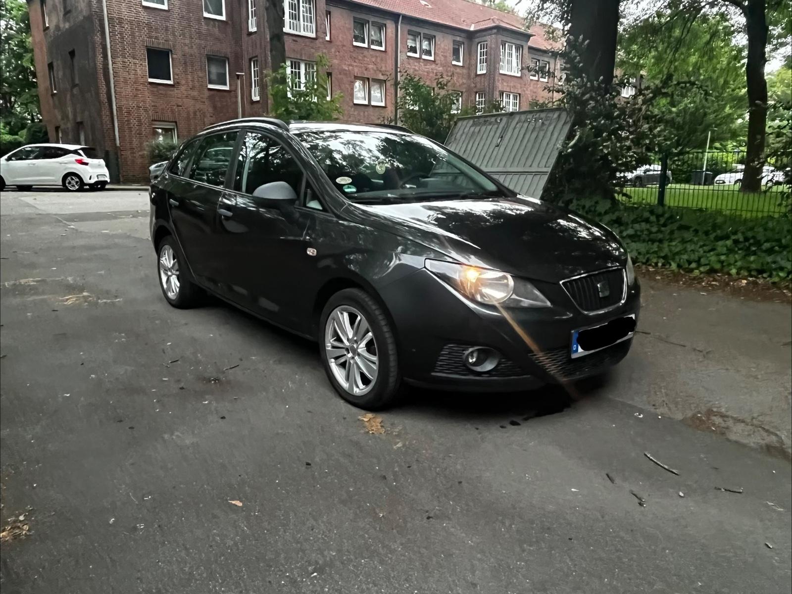 Seat Ibiza 2011 — вигляд ззаду