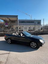 Mercedes-Benz Mercedes Benz CLK 200 Kompressor Cabrio, s... - Mercedes-Benz CLK 200 aus 2009