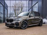 BMW X5 xDrive45e - ACC - HUD - B&W - Skylounge - las - BMW X5: Grün
