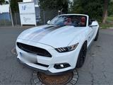 Ford Mustang GT 5.0 EU Modell Grail Extreme - Ford Mustang in Oldenburg
