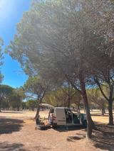 Volkswagen VW Caddy Camper Van - Volkswagen Caddy: Camper