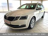 Skoda Octavia Combi Style-Navi-LED-DSG-Leder-TÜV- - Skoda Octavia: Kombi