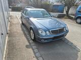 Mercedes-Benz Mercedes E 500 - Mercedes-Benz E 500 aus 2004