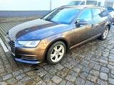 Audi A4 Avant sport - Audi A4: Braun