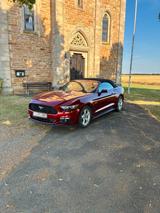 Ford Mustang Cabrio V6 Convertible - Ford Mustang: For