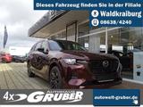 Mazda CX-80 e-SKYACTIVD 254ps Automatik Allrad Homura  - Mazda CX-80 Tageszulassungen