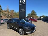 Mazda CX-30 2.5 140 PS SKYACTIV G Exclusive-line