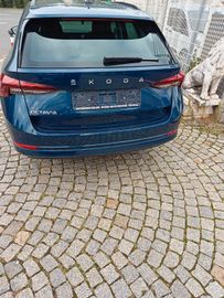 Skoda Octavia - 5