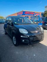 Fiat Panda,   3.700 Km, Klima, Allwetter, ZV, LED
