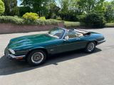 Jaguar XJS V12 5,3 Cabriolet, racing-green, HU neu - Jaguar XJS von privat
