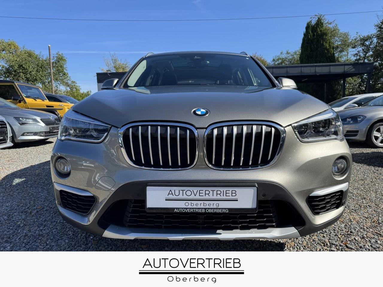 BMW X1 xDrive 25D AUTOM. LED NAVI LEDER KAMERA TEMPO