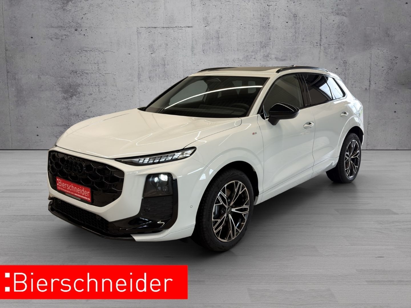Audi Q3 TDI quattro S-line TECPLUS MATRIX 19 SONOS PA