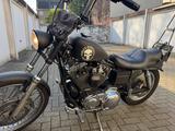Harley-Davidson Sportster XLH  1200C - Offers